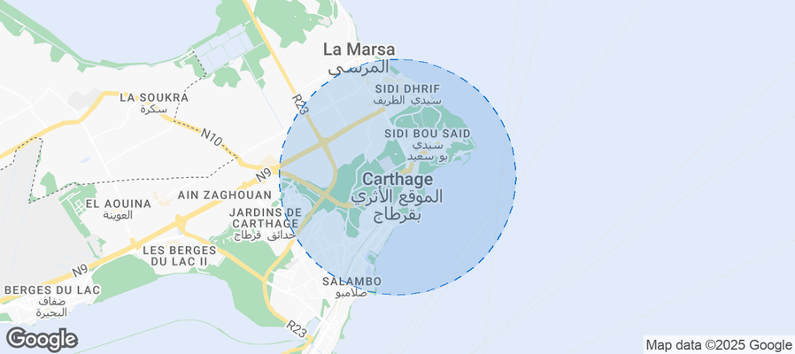 Discover Carthage Airbnb Analytics